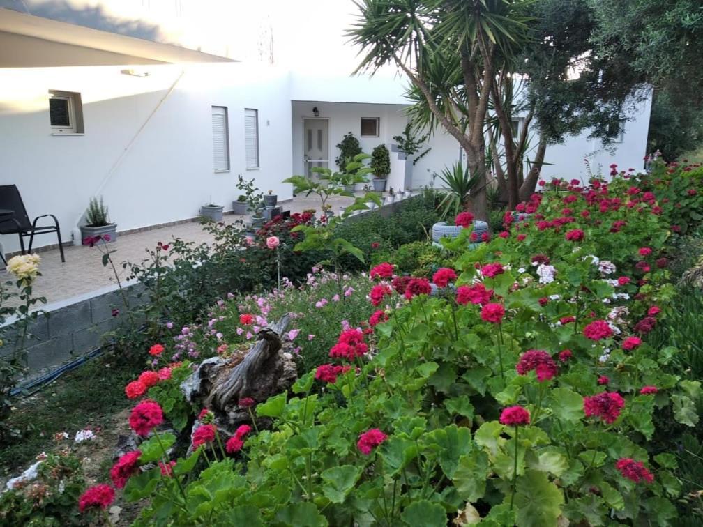 רודאקינון Golden Sun Apartments מראה חיצוני תמונה